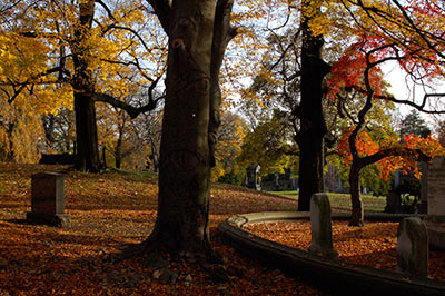 Leaves changing at Green-Wood Cemetery in Brooklyn