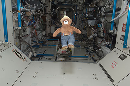 Smokey Bear aboard the International Space Station in 2012