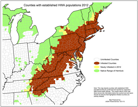 A map showing an area of the Northeast affected by hemlock woolly adelgid.