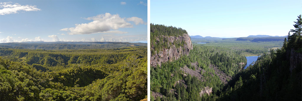 Tropical rainforests (left) and northern boreal forests should play a major part in our planet's climate changes solution.