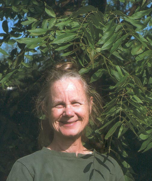 Faith Campbell, Loose Leaf's new guest blogger, has years of expertise in trees and insect pests.