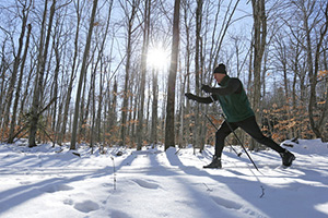 Bob Perschel enjoys a New England winter in the woods