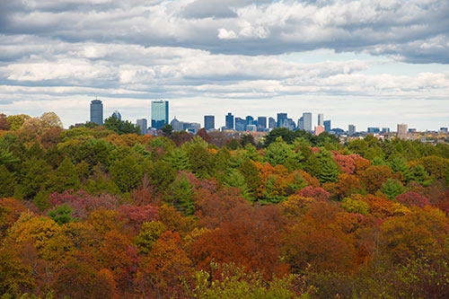 The Boston skyline from Arnold Arboretum