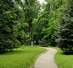 Arnold Arboretum.