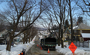 A Worcester, Mass., neighborhood before ALB-infested tree removal