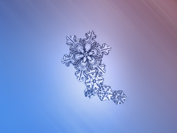 Snowflake photography by Alexey Kljatov