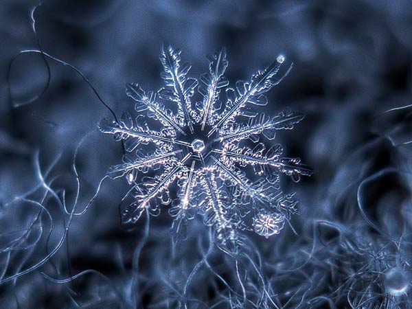 Snowflake photography by Alexey Kljatov