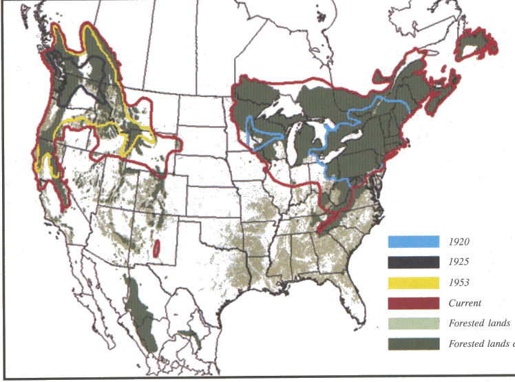 The spread of white pine blister rust in the U.S. and Canada from 1920 to present.