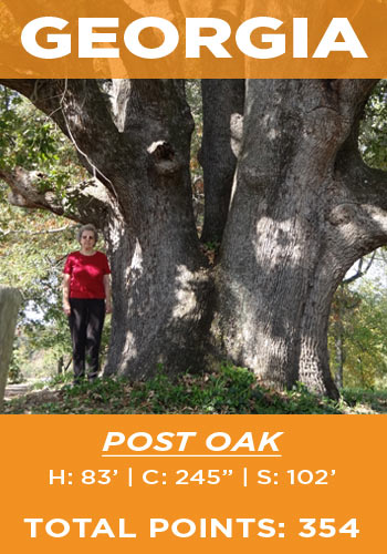 Georgia - Post oak