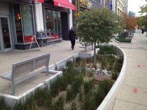 Before the abstract benefits of urban forests were well understood, we knew about their ability to filter trash and toxins from stormwater on its way to waterways. Such knowledge has led to the increase of green infrastructure like this bioswale in D.C., replacing storm drains which led directly into the sewer system.