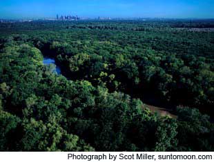 Trinity Forest in Dallas, Texas