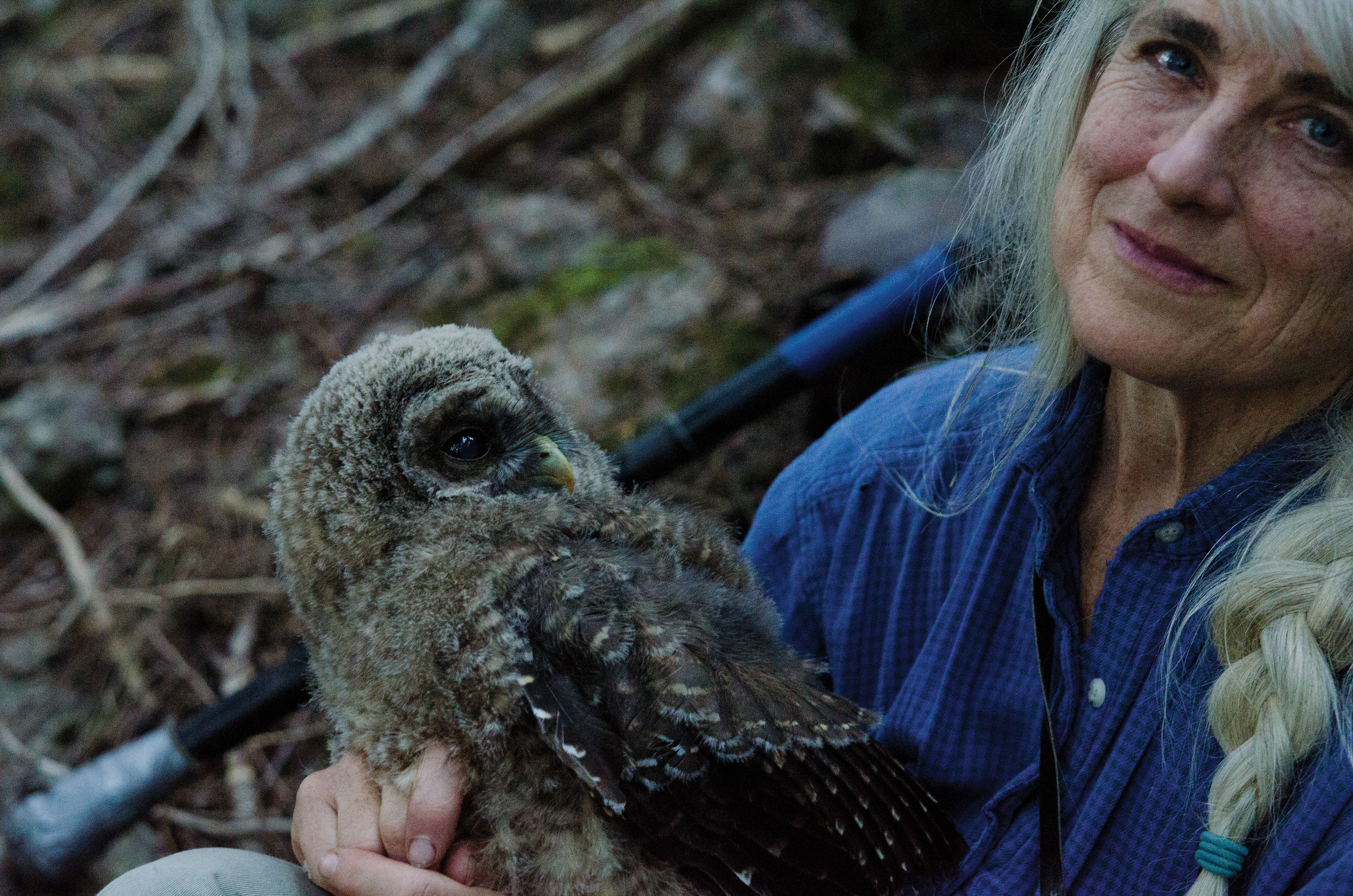 Kelso cradling an owlet