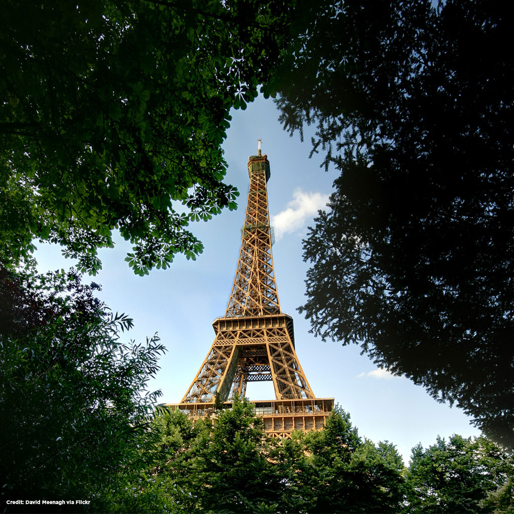 Eiffel Tower surrounded by trees.