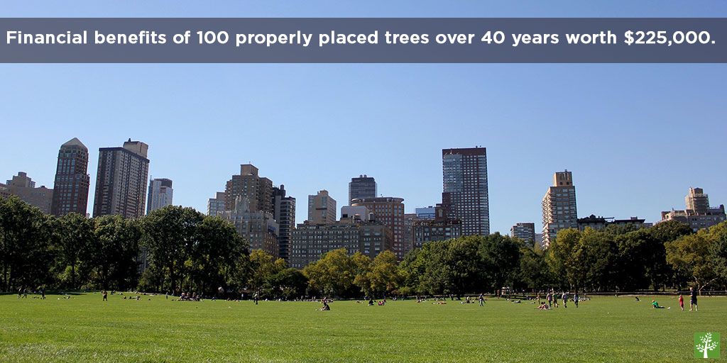 Financial benefits of 100 properly placed trees over 40 years worth $225,000.
