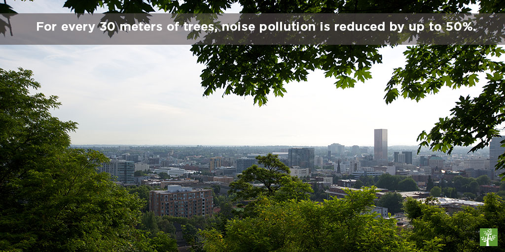 For every 30 meters of trees, noise is reduced by up to 50 percent.