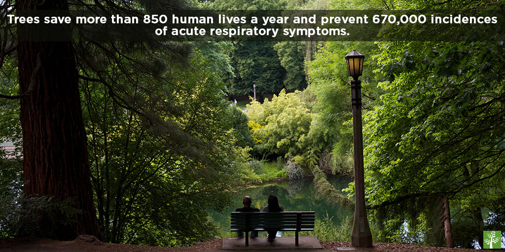 Trees save more than 850 human lives a year and prevent 670,000 incidences of acute respiratory symptoms.