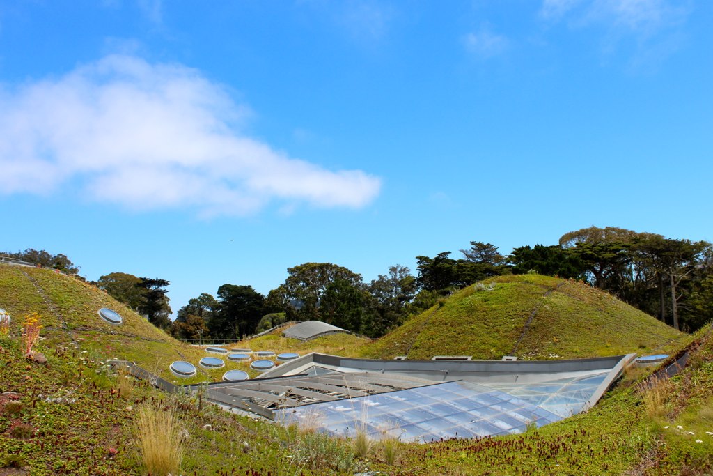 The California Academy of Sciences Living Roof 
