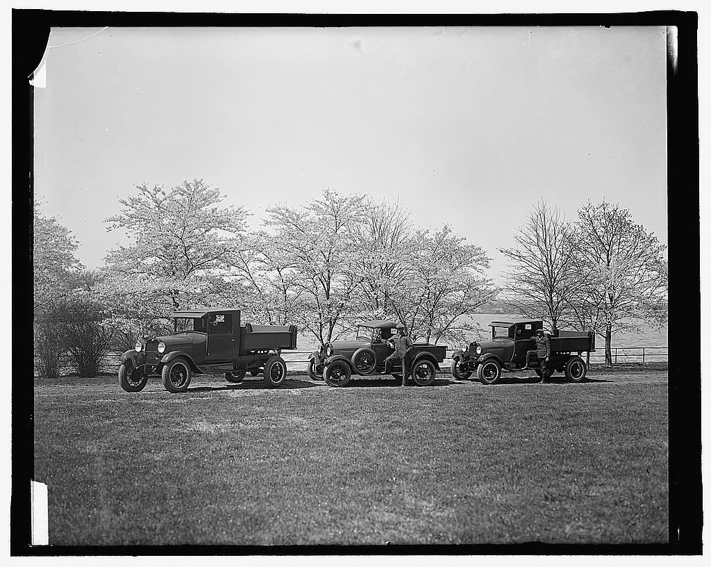 Trucks near Cherry blossom trees, Washington, D.C., 1940.