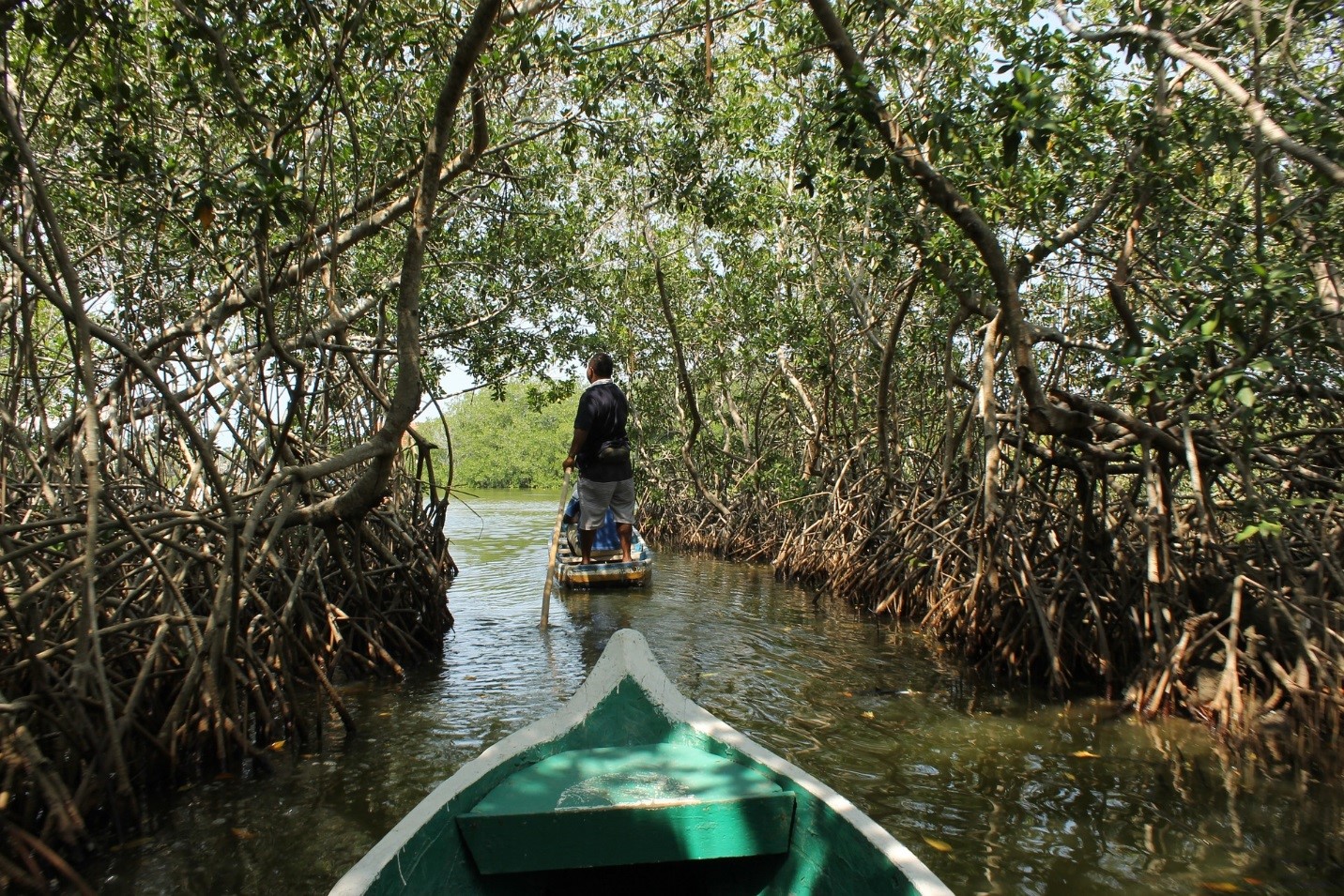 Boating in water through forest.