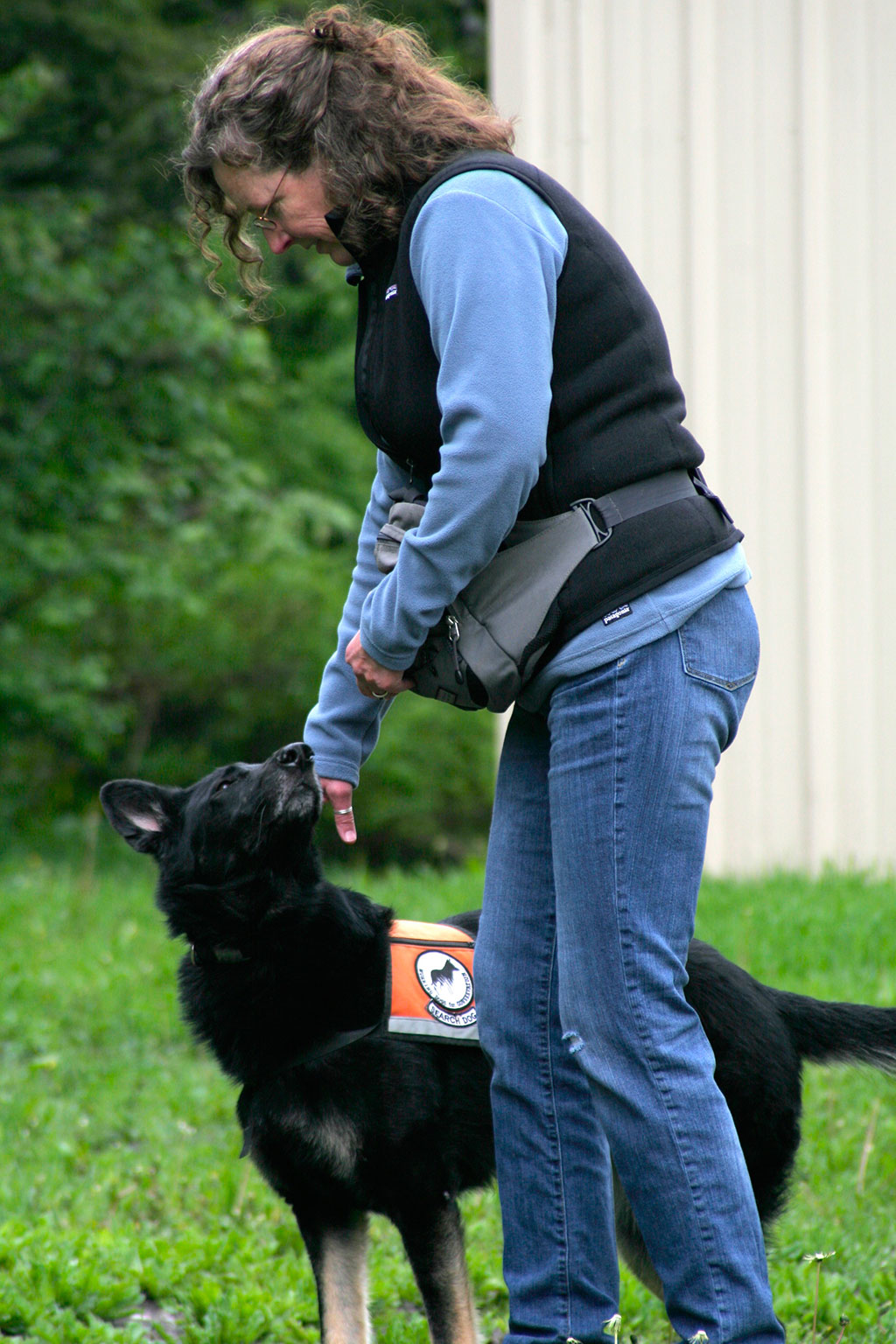Alice Whitelaw, co-founder of Working Dogs for Conservation, training Tia