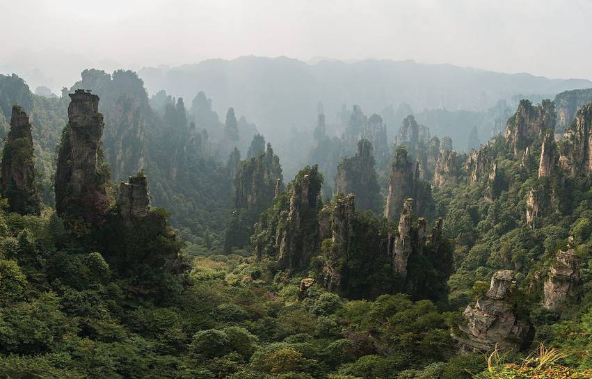 Zhangjiajie National Forest. 