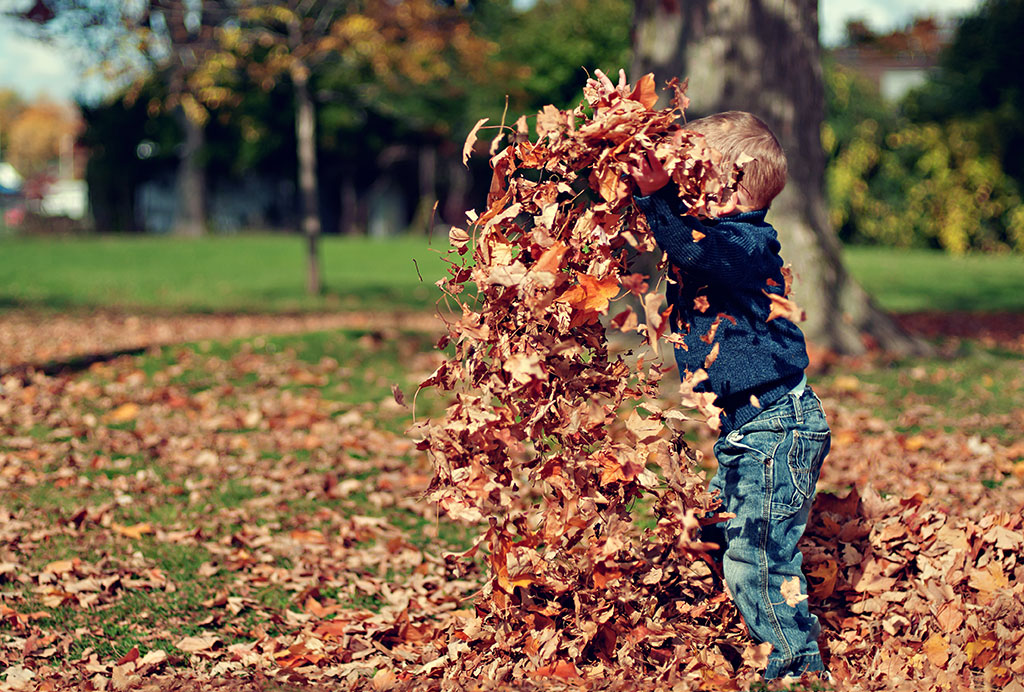 Boy playing in fall leaves