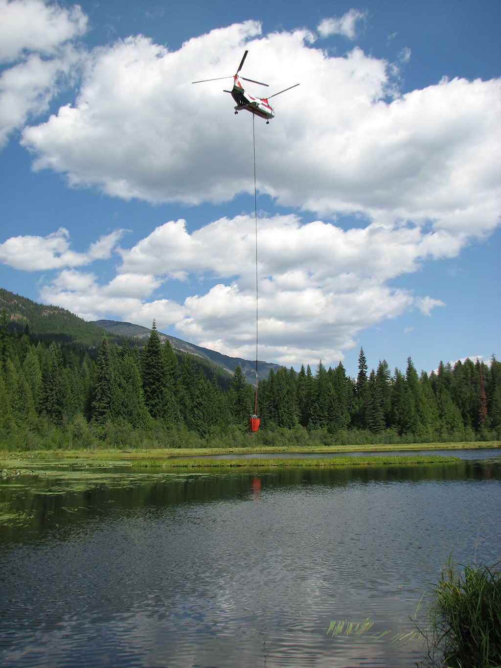 Aerial firefighting on the Colville National Forest