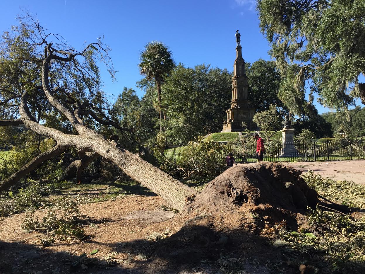 Savannah, GA Hurricane Matthew damage