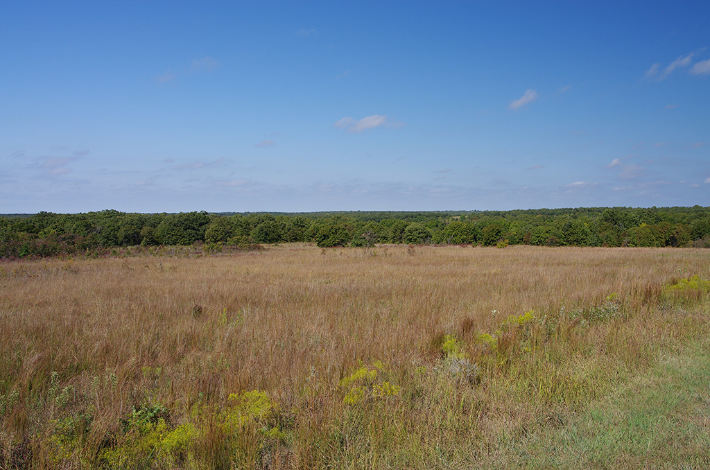 Cross Timbers landscapes are mosaics that include both forest and the surrounding prairies, which make up much of what people believe the landscape of Oklahoma to look like.