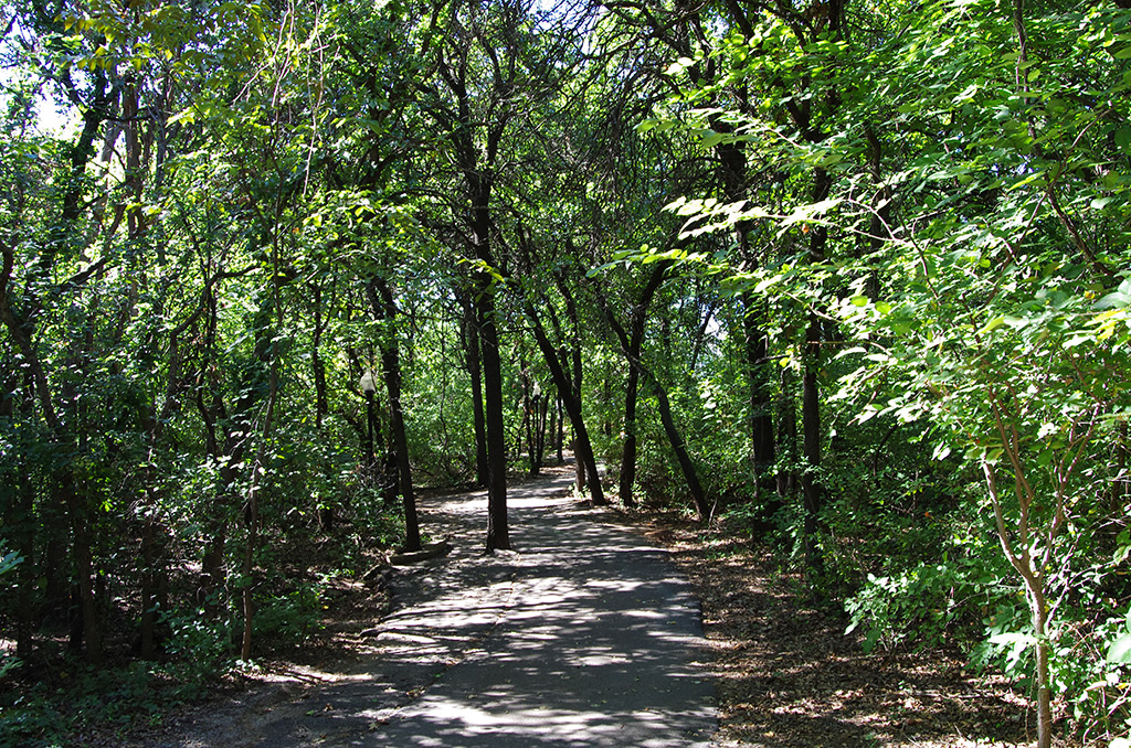 The paved walking trail through the Cross Timbers forest at E.C. Hafer Park in Edmond, Okla.