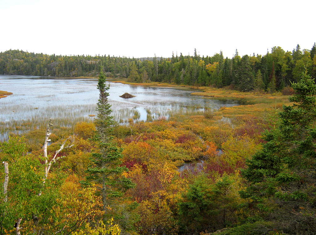 Typical boreal forest lake with beaver lodge in Pukaskwa National Park.