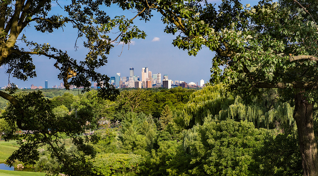 Tree-framed skyline