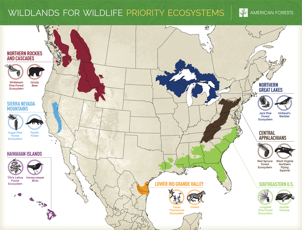 Wildlands for Wildlife - American Forests