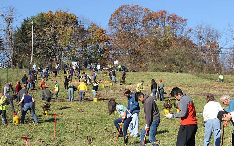 Creating Community Forest Canopies - American Forests