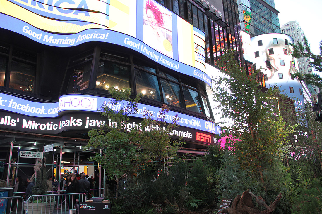 Forest of Dreams pop-up in Times Square