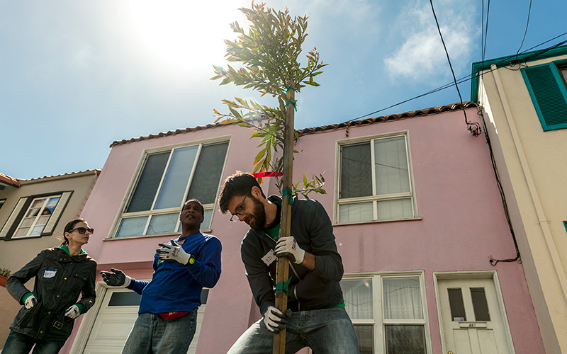 American Forests, GreenLatinos, Groundwork USA, and One Tree Planted