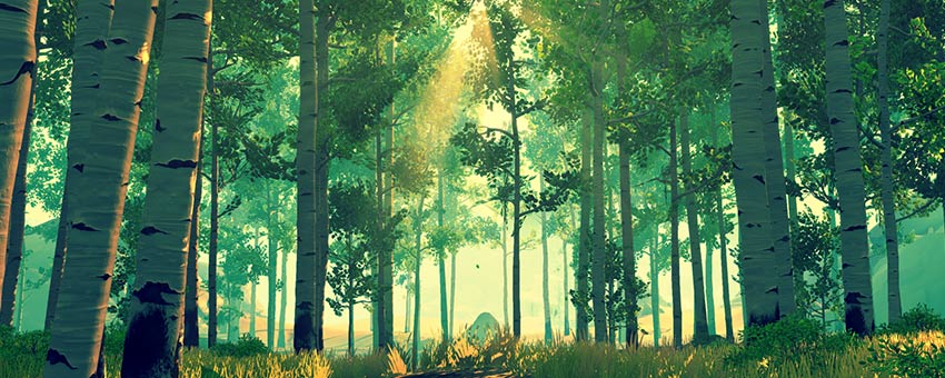 Firewatch Forest