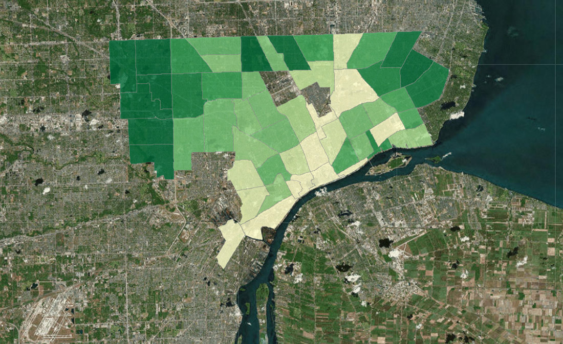 Detroit canopy map