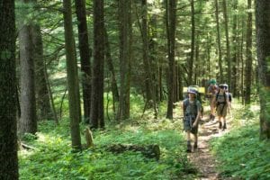 Group of hikers on a trail