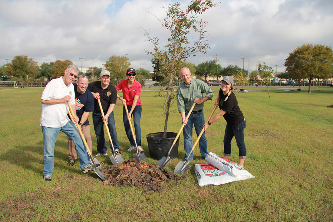 Tree planting