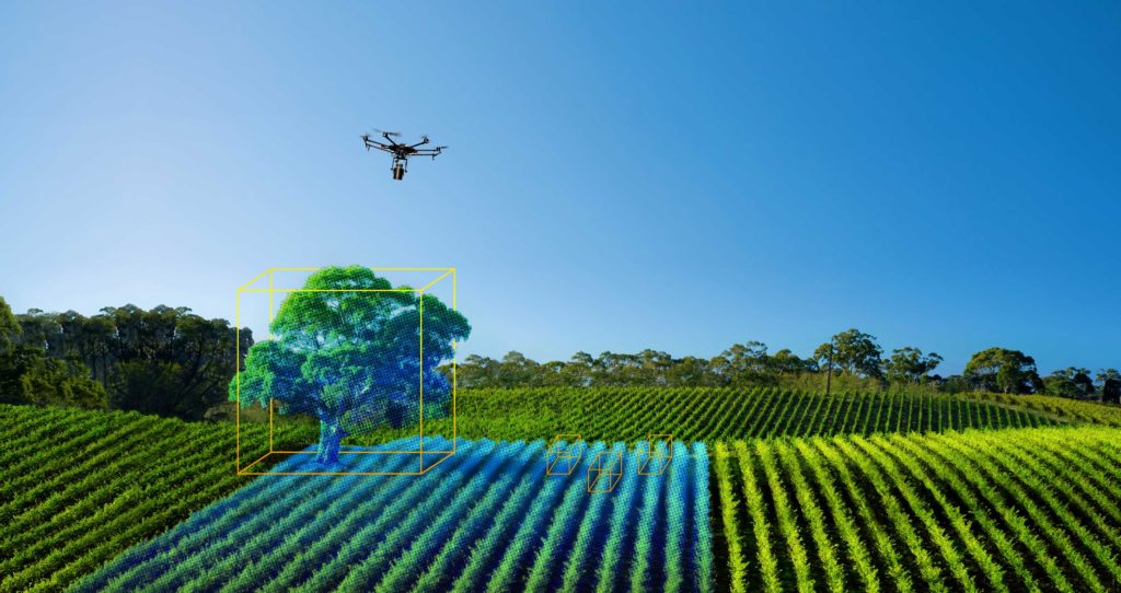 LIDAR in agriculture 