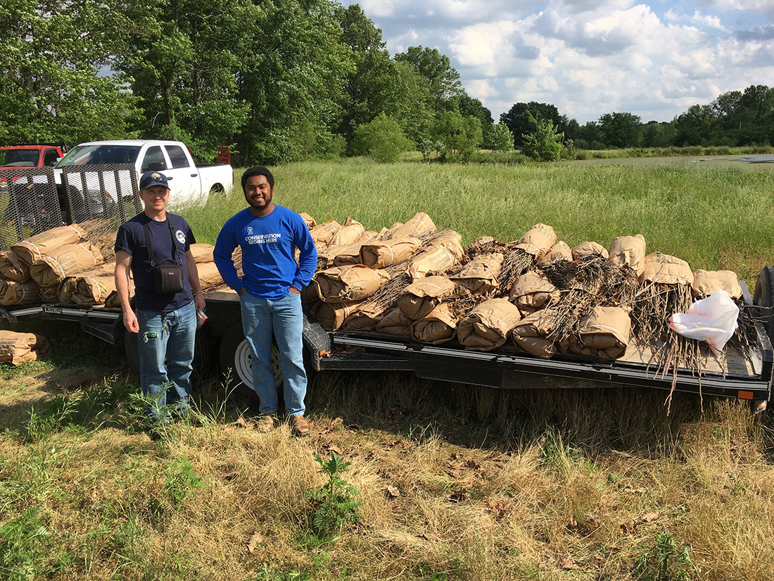 Patoka River Naitional Wildlife Refuge interns with some of the trees logged from the site.