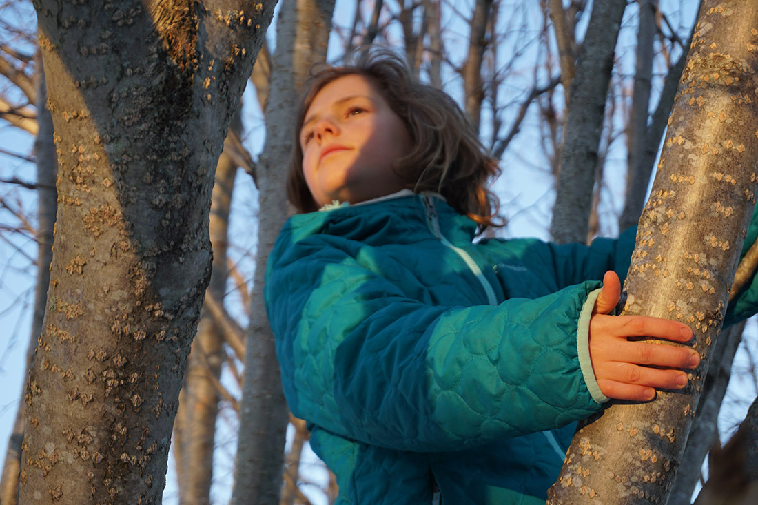 Climate change asks us to consider the forests of our children’s future.