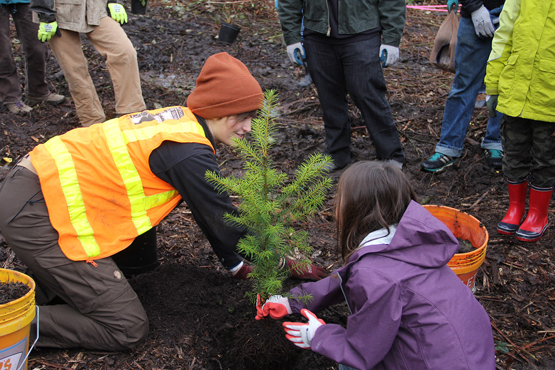 Two young volunteers help plant 200 trees at the 3-acre Ballinger Open Space site in Shoreline, Wash.