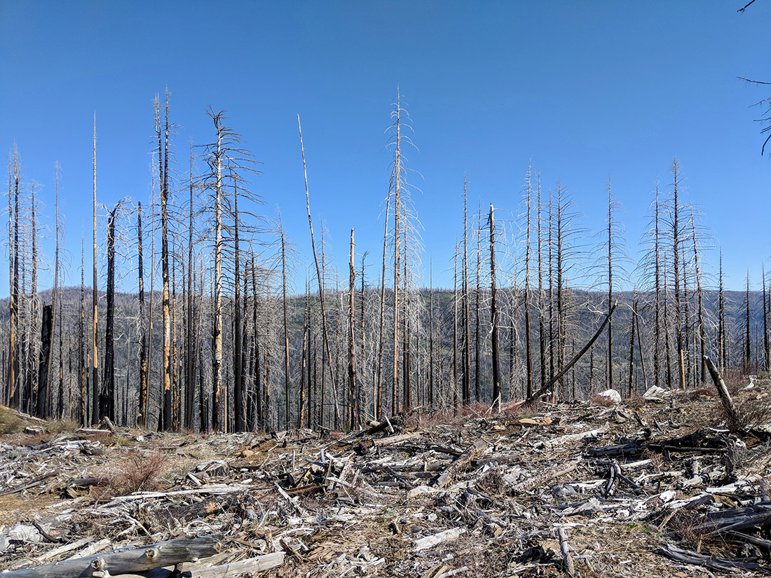 In 2014, the King Fire burned more than 97,000 acres in El Dorado County, Calif.