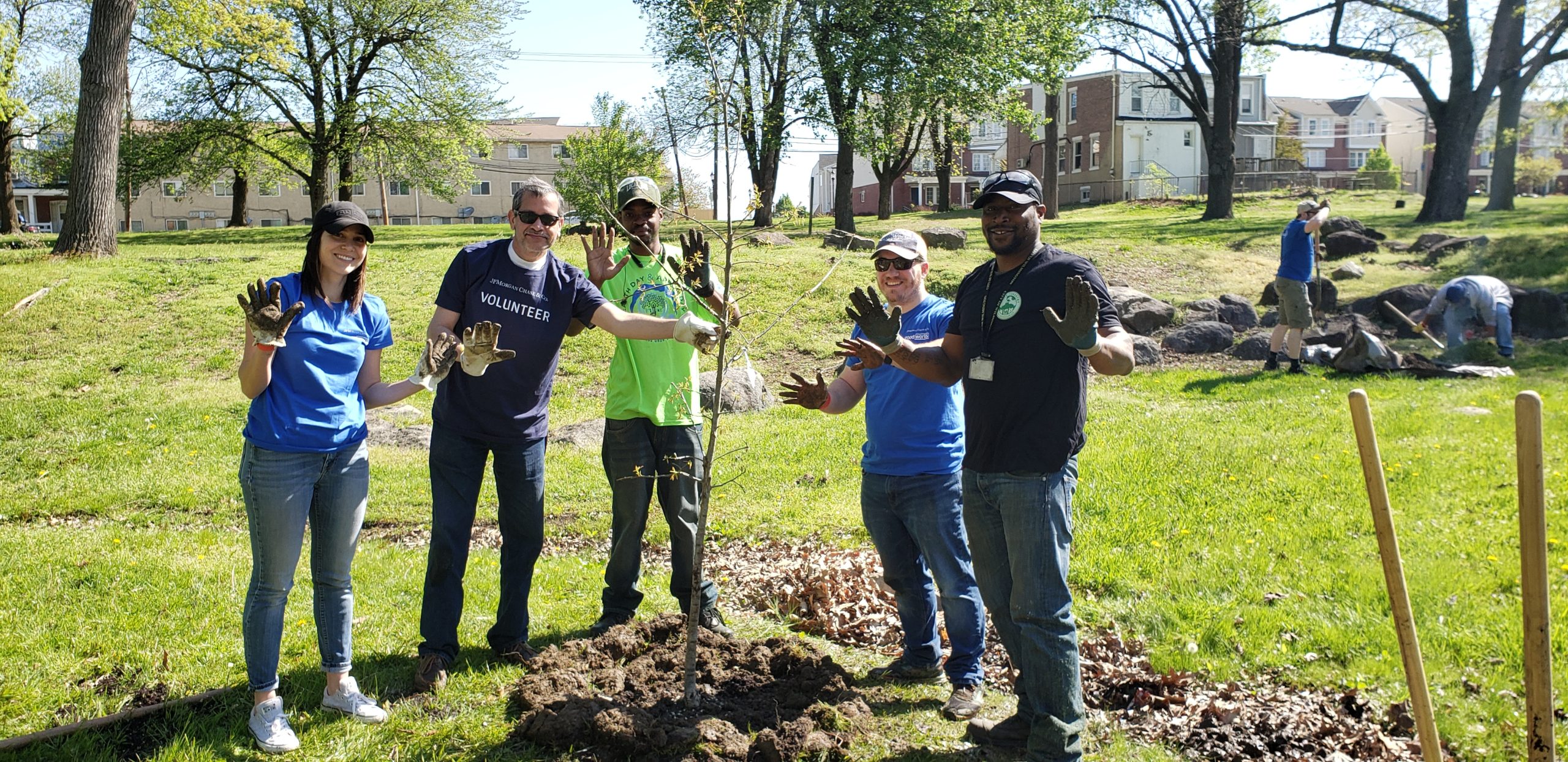 Through the generous funding of JPMorgan Chase, 50 trees were planted in Speakman Park in downtown Wilmington, Del.