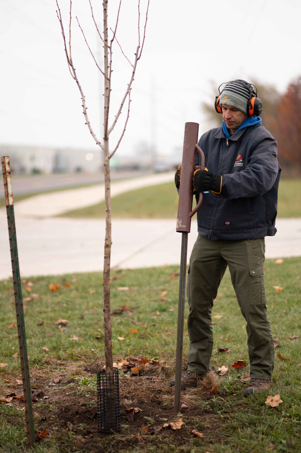 Aaron Sawatsky-Kingsley, director of the Department of Enironmental Resilience in Goshen, Ind., has spent his career caring for the city's trees, working as a city forester with the Parks and Recreation Department before moving into his present role.