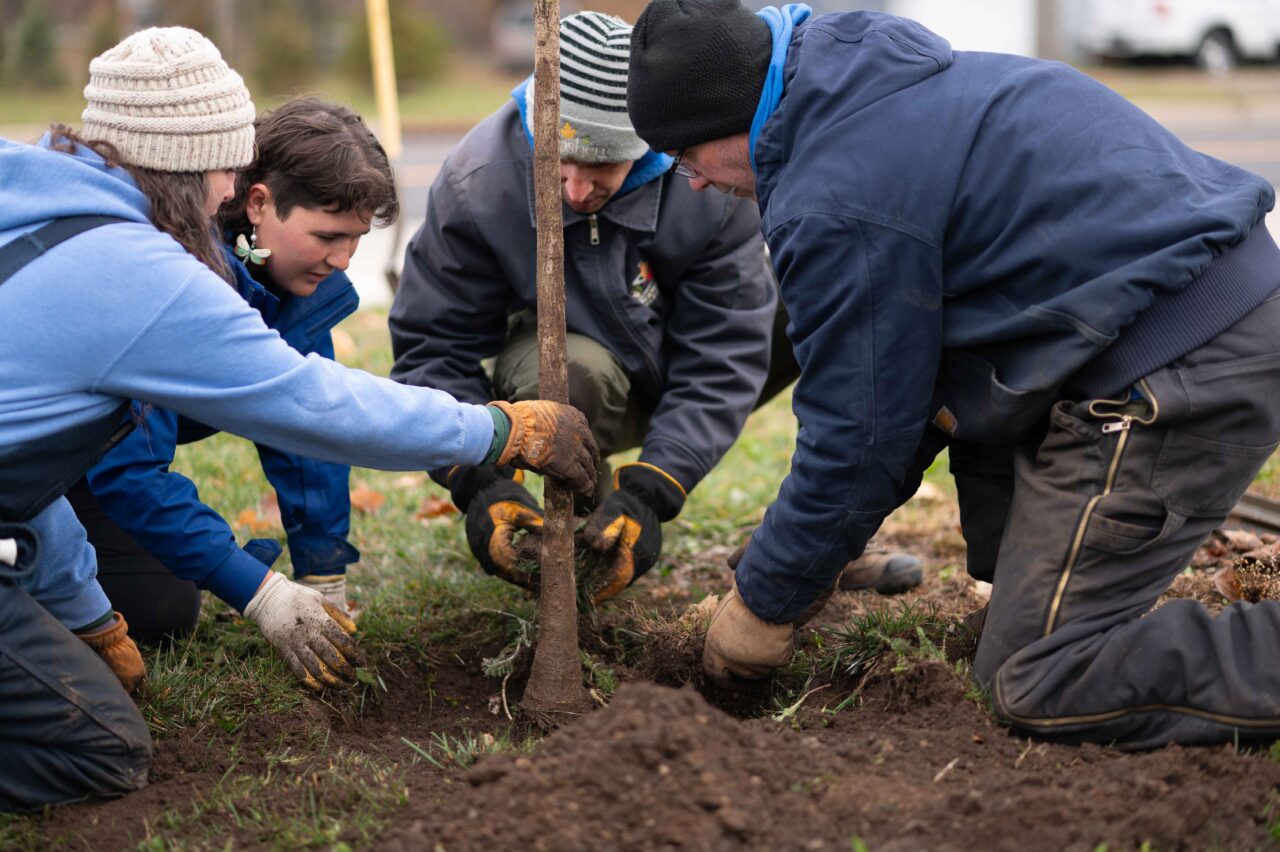 Sawatsky-Kingsley works alongside his staff and Americorps volunteers to plant a tree along an industrial corridor in Goshen, Ind.