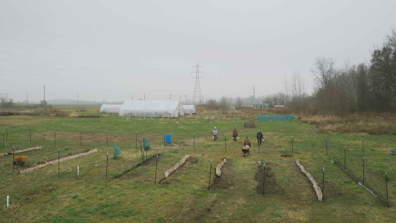 Nursery staff and interns help the city grow the supply of trees needed to reach its ambitious canopy goals.
