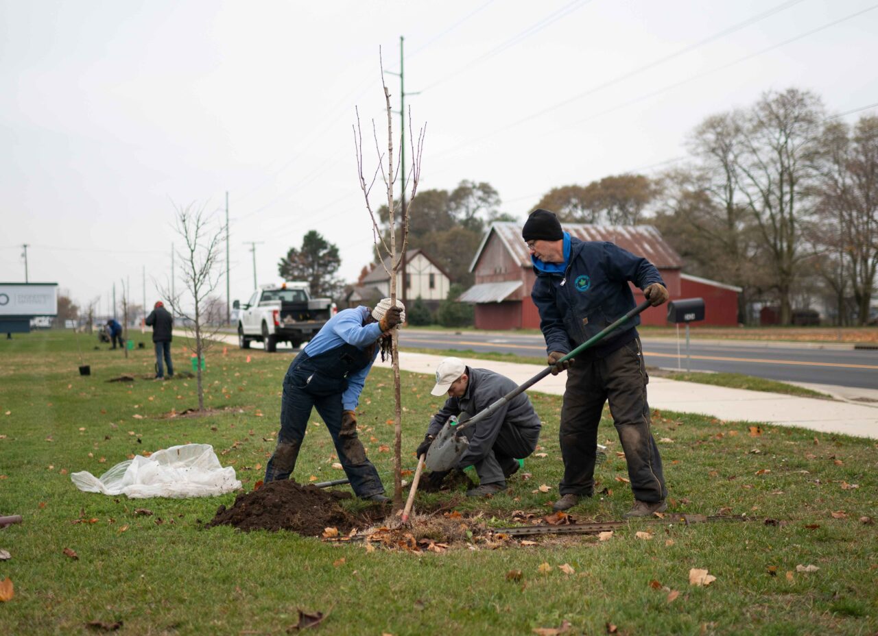 Department of Environmental Resilience staff and Americorps volunteers work together to position and backfill a newly planted street tree along an industrial corridor in Goshen.
